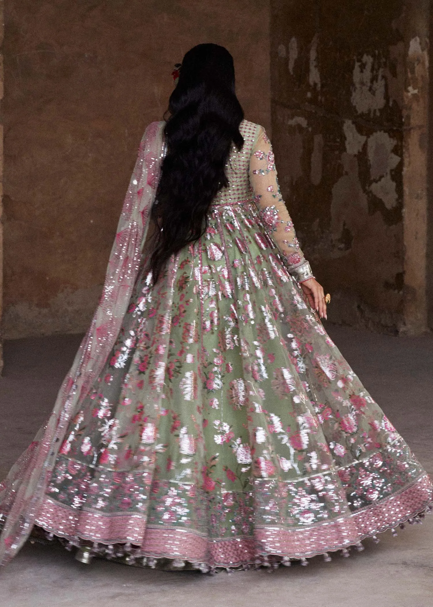 Luxury Festive Fw/24 - Pankh